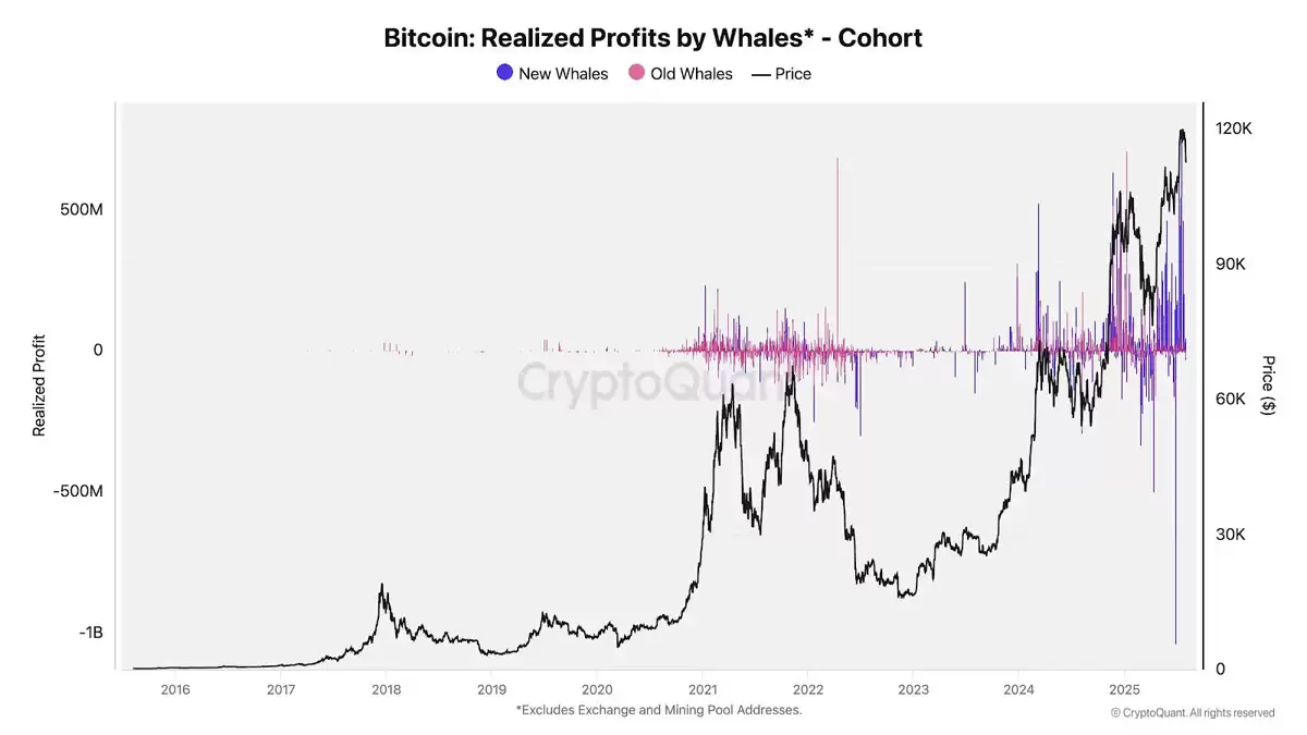 ���رң�BTC���޾�����96����Ԫ���󣺼���������������������15 ����ԪĿ��������