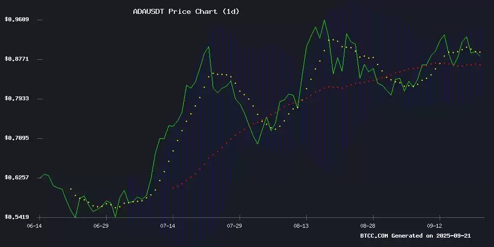 2025��Cardano��ADA���۸�Ԥ�⣺����ͻ����1.20��Ԫ