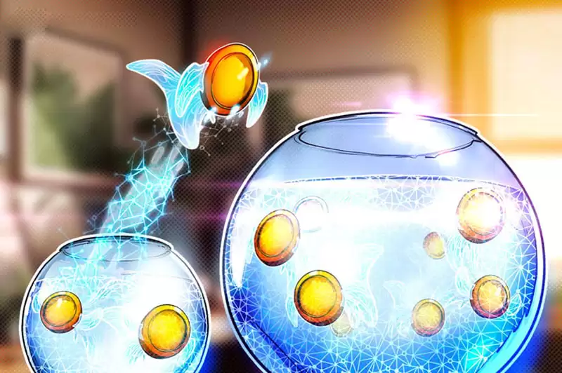 ������������ϸ������GUSDһ�ܳ���1.68�ڣ��ȶ����г�ӭ���յ�