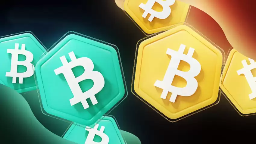 ���ر���������Щ�ң�����������Щ����ϸ����20�ּ�����̬��