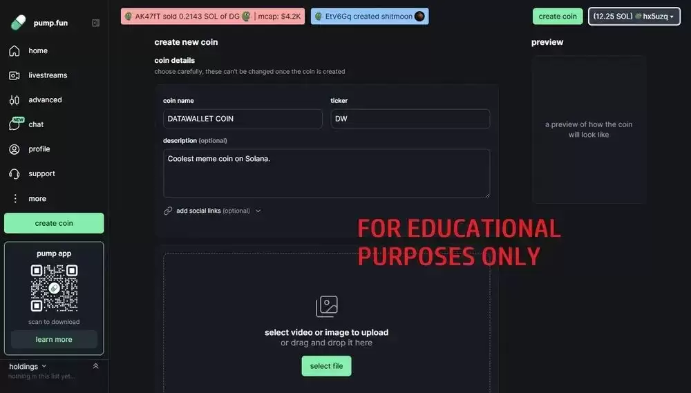 ʲô��Pump.fun����ι���pump�ң���δ���Solana�ң�