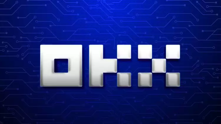 OK���������ʱ�޷�������ô��?ŷ����Ҹ���������������ѧ