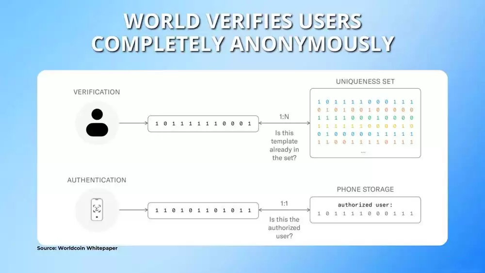 ʲô������ң�World��������Ҵ��Ҿ���ѧ����ι��򼰼۸�Ԥ��