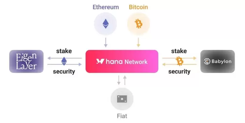 Hana Network(HANA)����ʲô?��ô��?HANA���Ҿ�����ǰ������