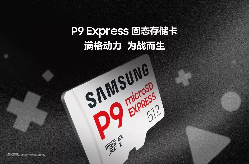  P9 Express microSD ̬洢˳ȡ 800MB/sŻ Switch 2 Ϸ