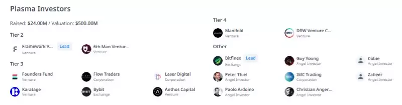 Plasma(XPL)ʲô?һͶ?XPLҾ۸Ԥ