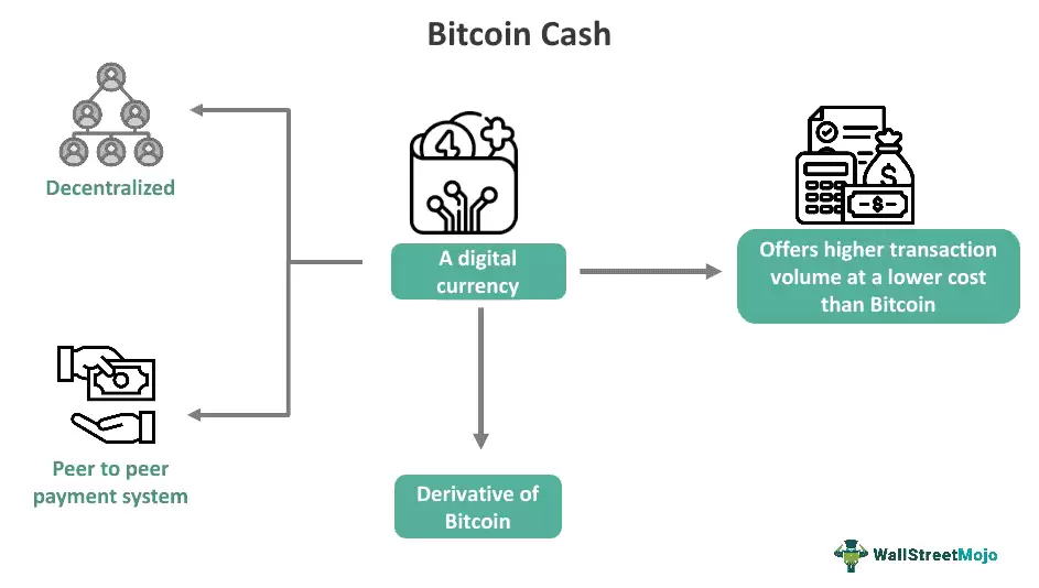 ���ر� vs ���ر��ֽ����ֻƽ��������ֽ�