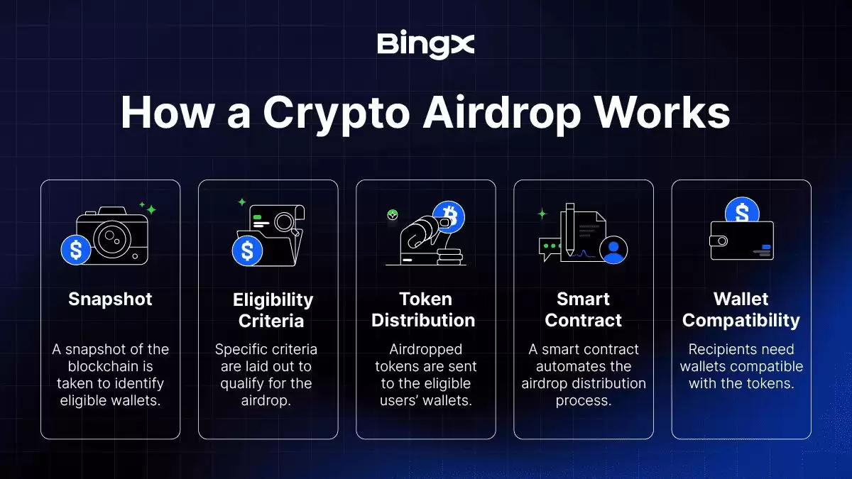 ȦͶʲôԭѧָ(2025)