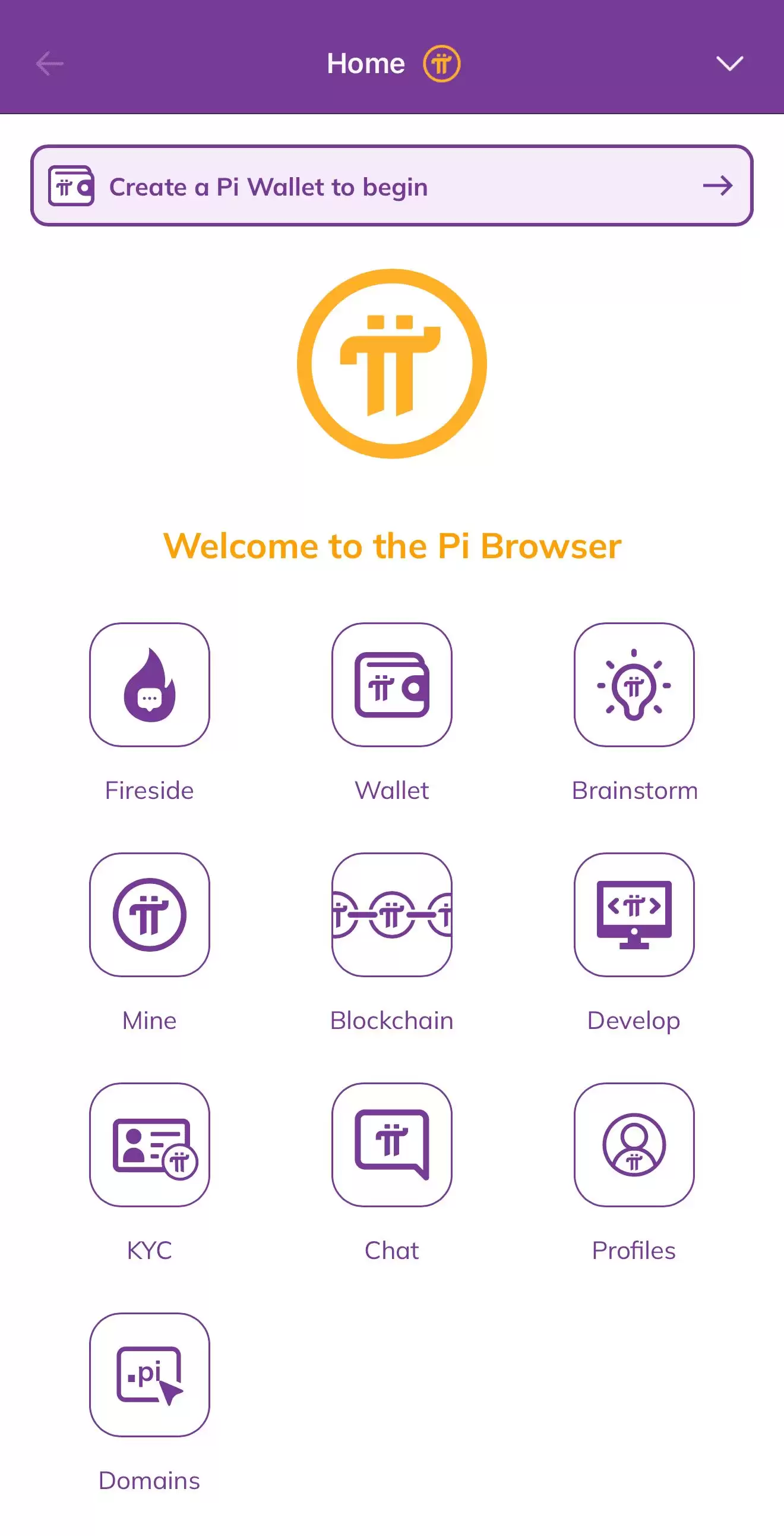 Pi NetworkΪ����˻𱬣�����ڿ�PI �ң�����ָ��