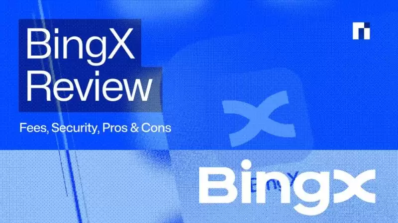 20259BingX⣺áȫԡȱ