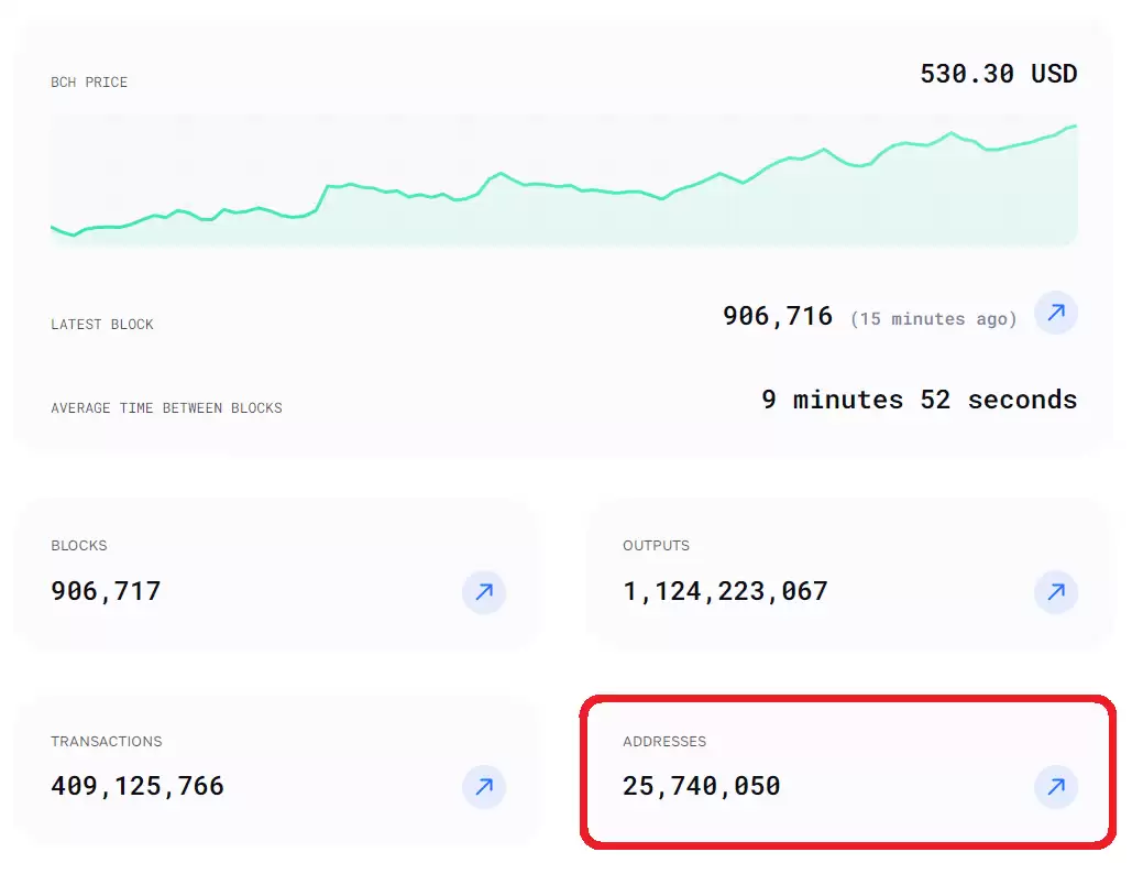 ʲô�Ǳ��ر��ֽ�BCH�ң�����ι���δ������