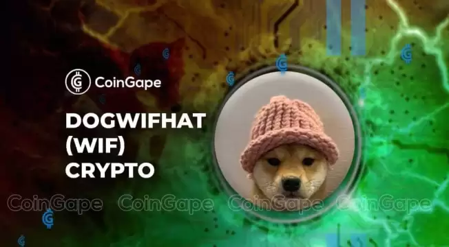 WIF(dogwifhat)ʲôֻñӵĹΪܳΪSolanaϵMeme֮