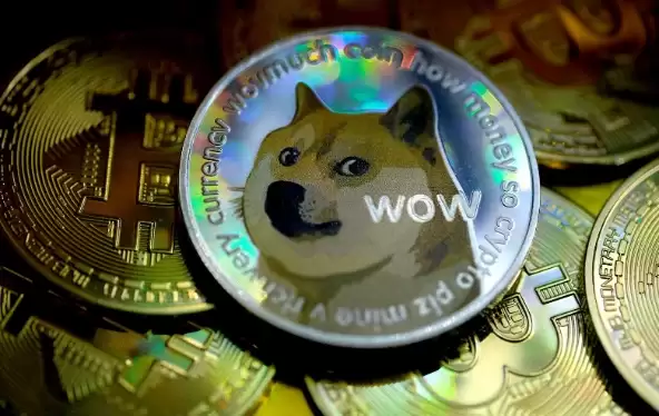 �����ң�DOGE���۸�Ԥ�⣺2025�ꡢ2030�����ǿռ�