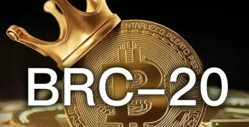 BRC-20Э����ʲô��������������ر���̬��������������ָ��