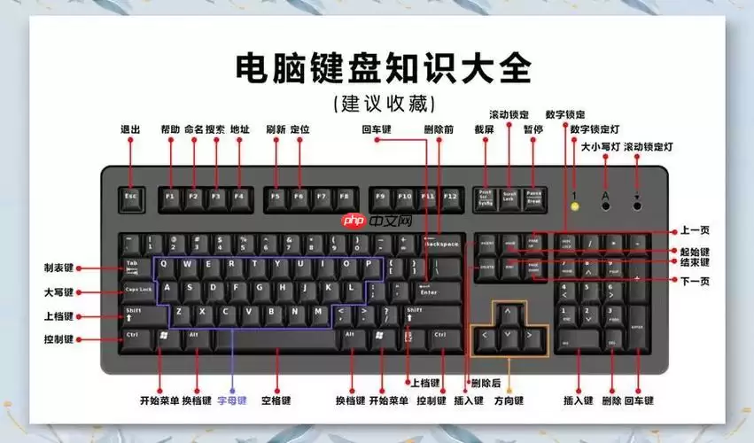 Affinity Designerĳÿݼ