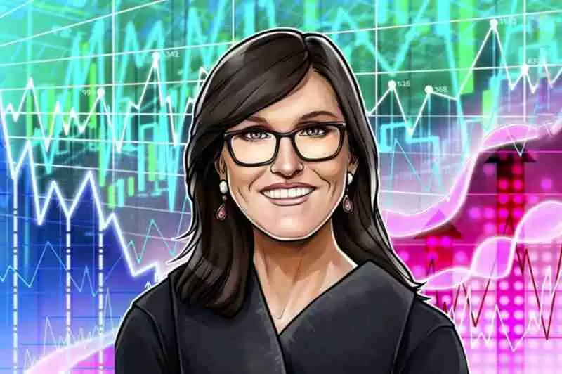 Cathie Wood  ARK ڽףʱ M ĿǹƱ