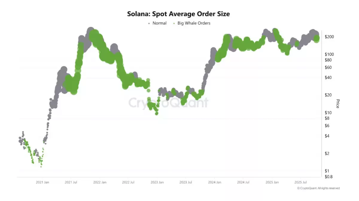 76%ɢ������SOL��Solana������200��Ԫ�ܷ���ס��