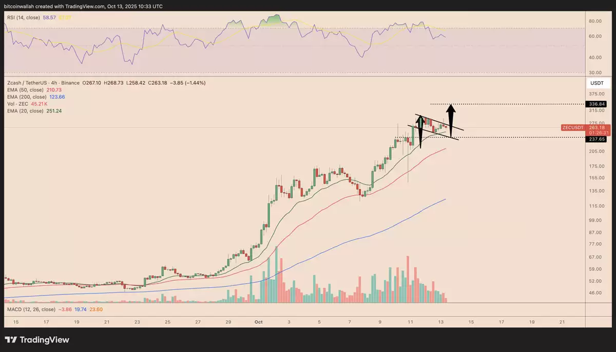Zcash����520%��ZEC�۸��ܷ�������ǣ���������