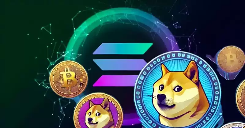 2025��Solana������̵㣺���ֵ�ù�ע����Ŀ��Ͷ�ʷ���