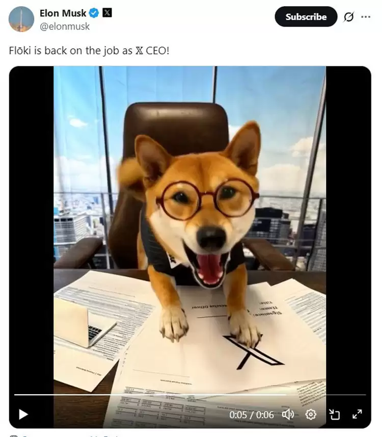 ��˹�˷������ﹷFloki��Ƭ��ģ��ұ���29%