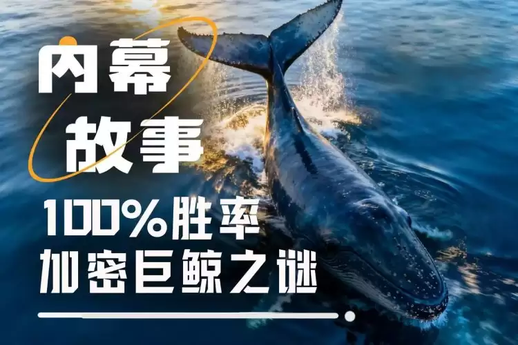 ������������Ļ�޾���100%ʤ�ʱ��������