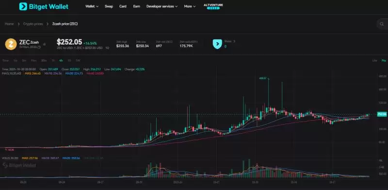 Zcash(ZEC)�ҽ���������ԭ�����۸�Ԥ������˽����