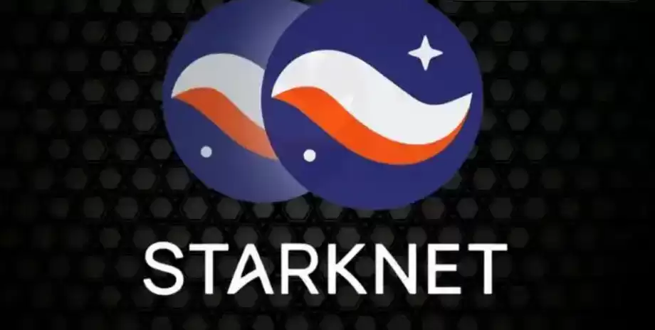 StarkNet (STRK) ��Ͷ��⣺��β�ѯ�ʸ���δ��Ǳ������
