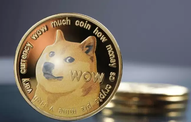 2025�깷����(DOGE)�۸�Ԥ�⣺ͻ��0.5��Ԫ�Ĺؼ�����λ����