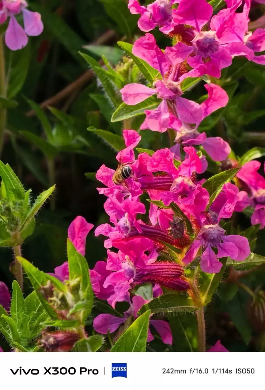 2025Ӱ���콢�ֻ�Ϊ����ѡ����о��2�����ش�Ƭһ��ֱ��