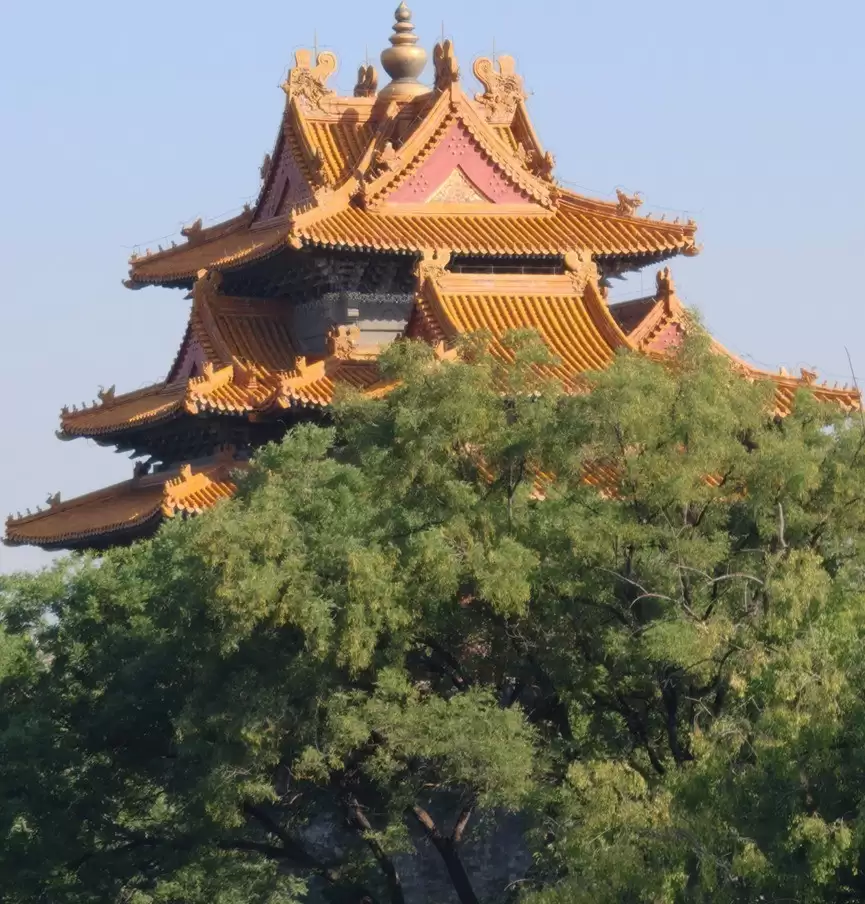 2025Ӱ���콢�ֻ�Ϊ����ѡ����о��2�����ش�Ƭһ��ֱ��