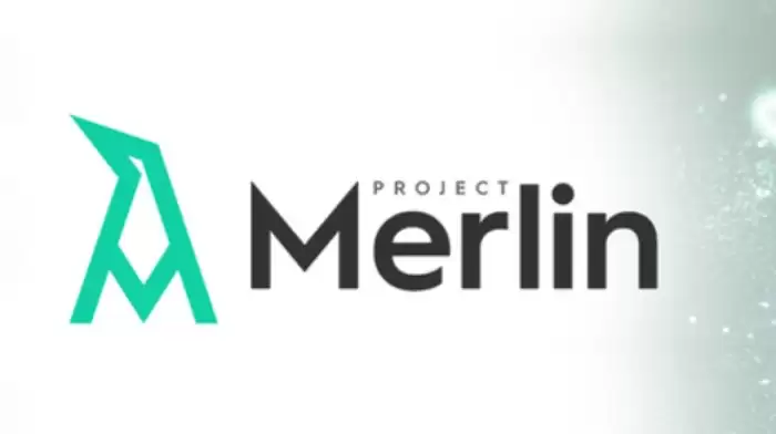 Project Merlin(MRLN)����ʲô��ô��MRLN���Ҿ������Ͷ��ȡָ��