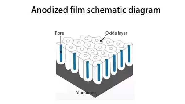 ƻ������iPhone 17 Pro��ɫ iPhone 16�ָ��˼۹��۱��˲��ѣ�