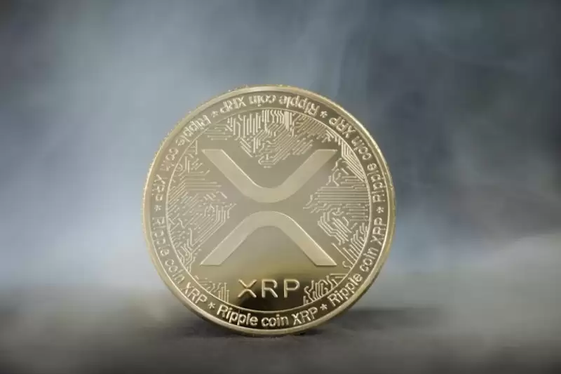XRP�޾���ETF��������۽�2��ö����