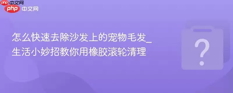 ��ô����ȥ��ɳ���ϵĳ���ë��_����С���н������𽺹�������