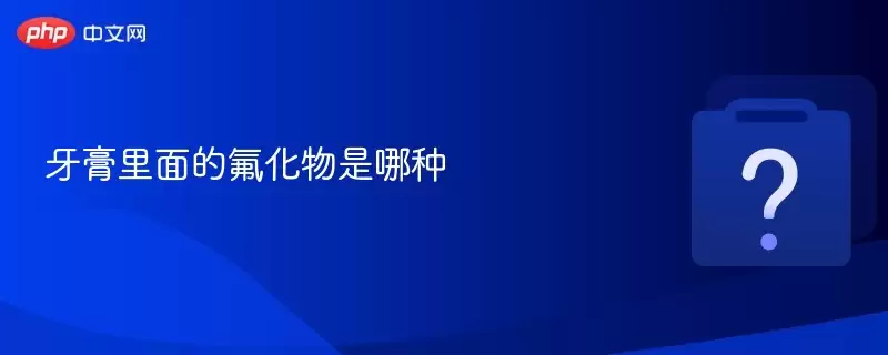 ��������ķ�����������