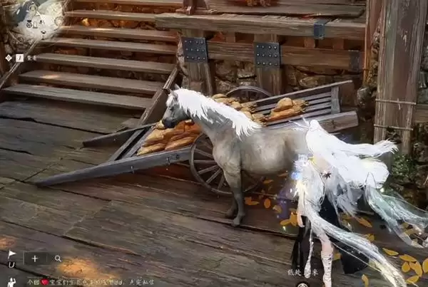 ����ʮ��������ɽͷ����������֪���� ͷ������������ɷ���