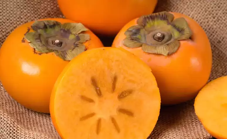 ���ӵĹ�Ч����������Щ