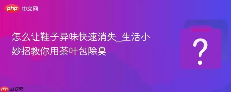 ��ô��Ь����ζ������ʧ_����С���н����ò�Ҷ������