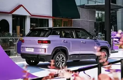 ����ICON���Ķ�����ɫ���������ռӳֽ�7.98����