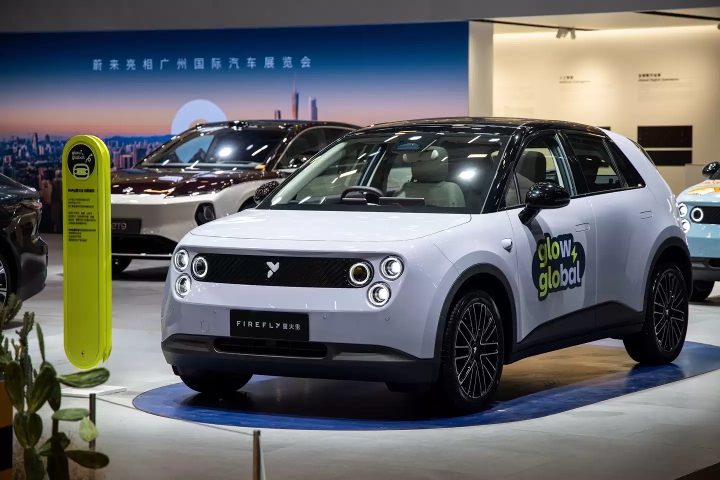 ε��fireflyө���ӭ��3���û�����������̩�г�