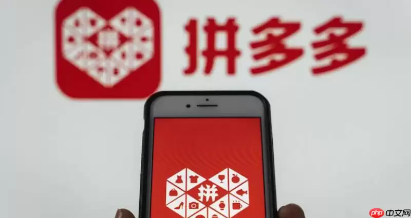 ƴ���׬Ǯ�� ƴ���ƽ̨ӯ��ģʽ���û���������