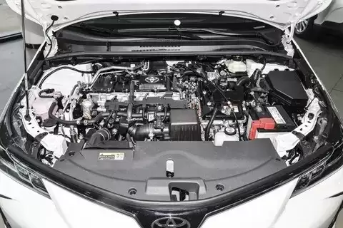 2024����￨����ȫϵ��ȫ���䣬�ද����ѡ�����������