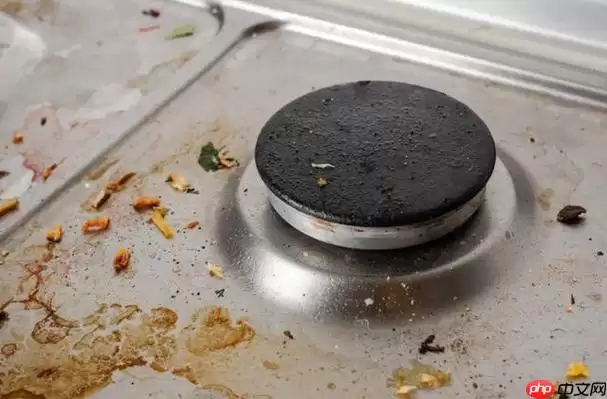 ��ο���ȥ�����������ۣ� 2025������õĳ��������Ƽ�