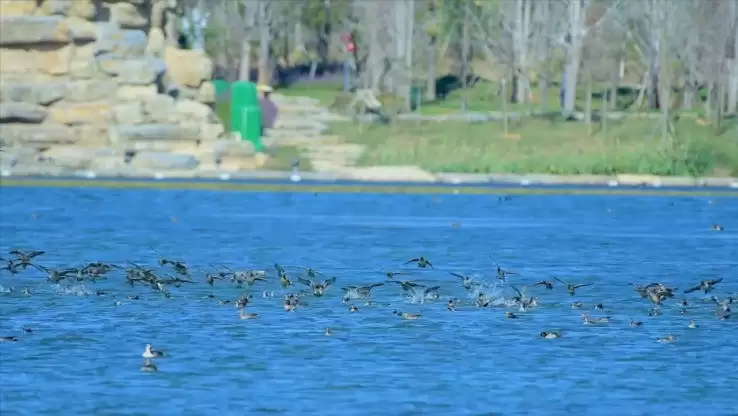 �������� ��缴��������ϵ���ɫ������ƪ��