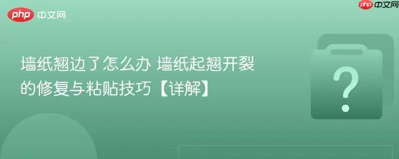 ǽֽ�̱�����ô�� ǽֽ���̿��ѵ��޸���ճ�����ɡ���⡿