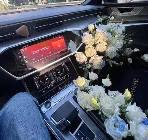 2025��µ�A6L�ᳵ�ǣ��Ƽ������Ų���