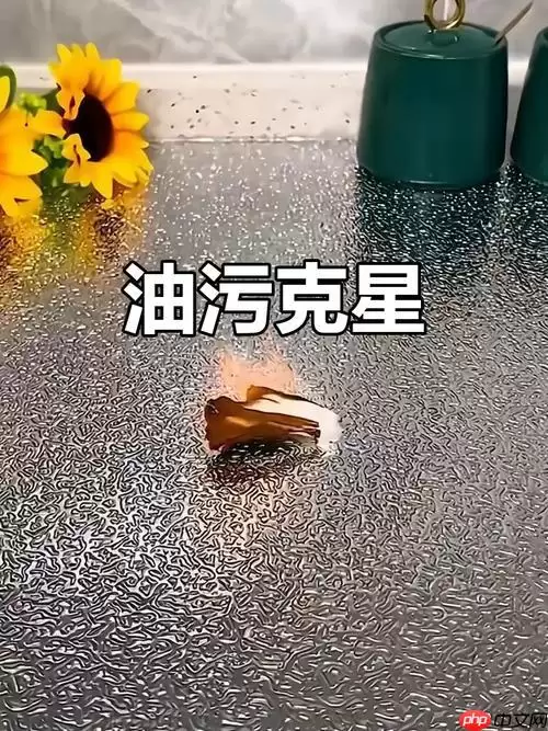 �綯���ˢ�Ը���������Ч����Σ� ֵ�����ֵĵ綯�����������