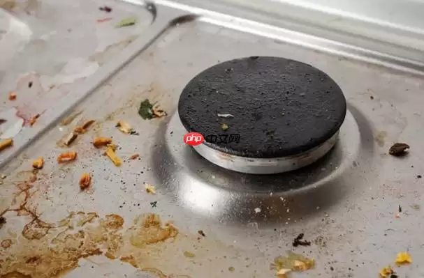 ���˷�����ֽ��ǽ����ô��ࣿ ��θ����Ͼɵĳ���������ֽ