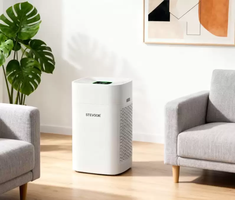 2025����������Ȩ�����������ڳ�ȩ���������Լ۱�ʮ��Ʒ��