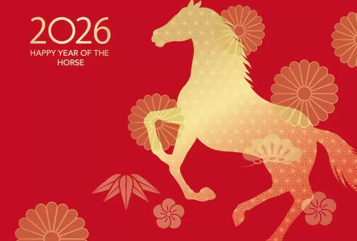 2026���ж����� 2026���ƶ�����